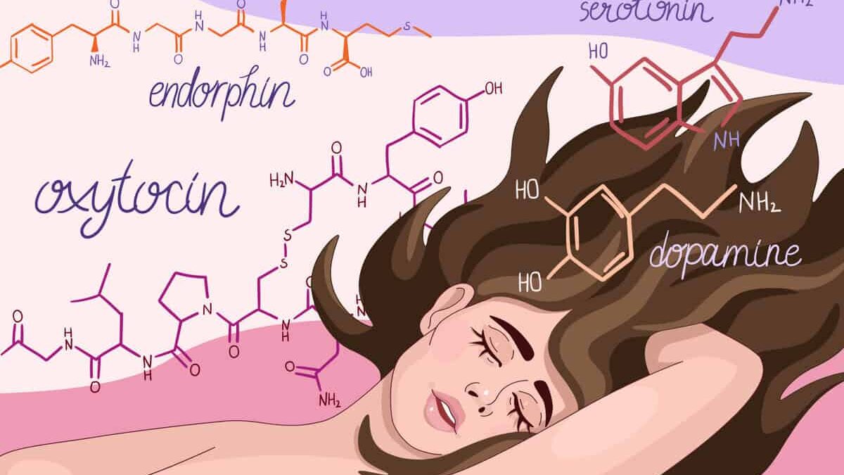 What hormone is released during orgasm? The science of pleasure - Femia