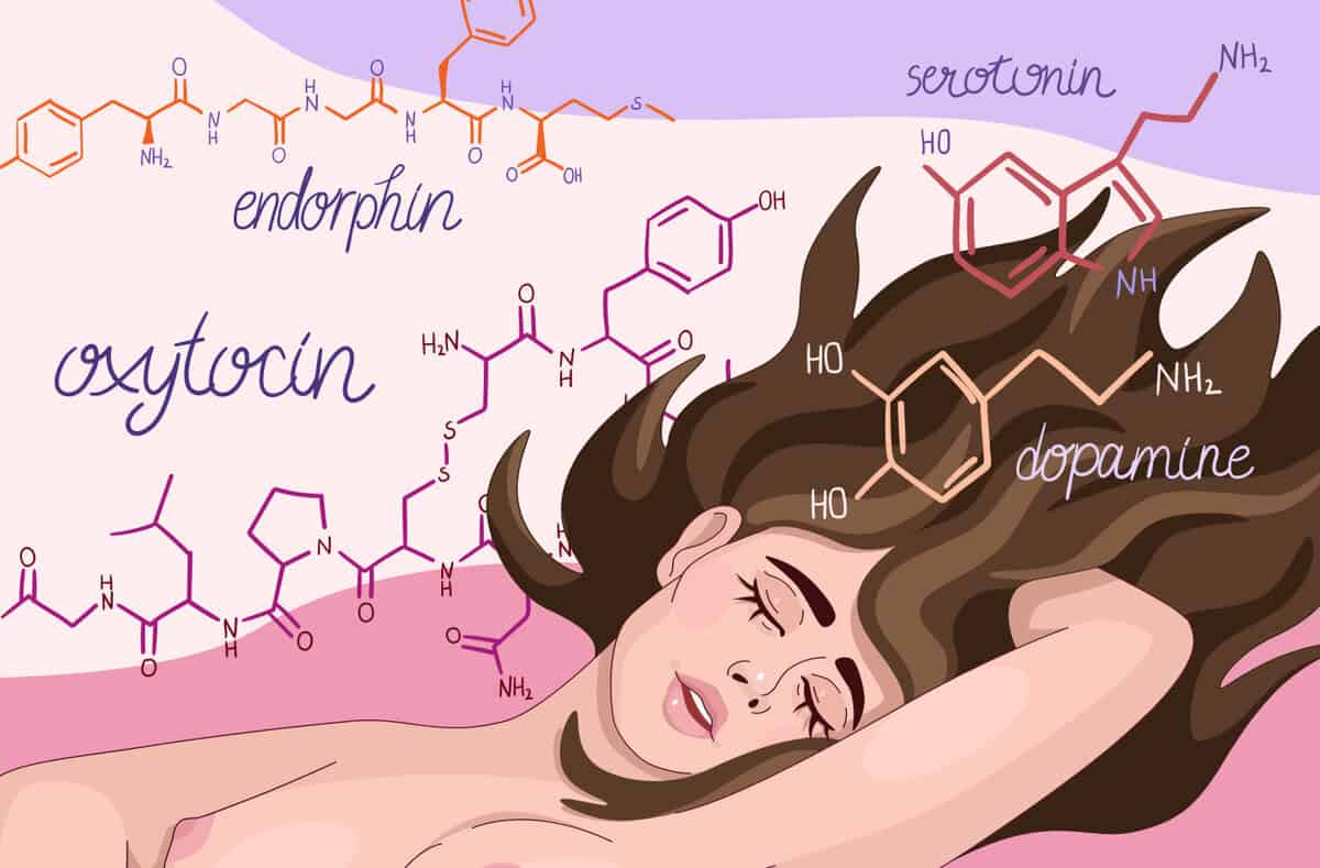 What hormone is released during orgasm? The science of pleasure - Femia