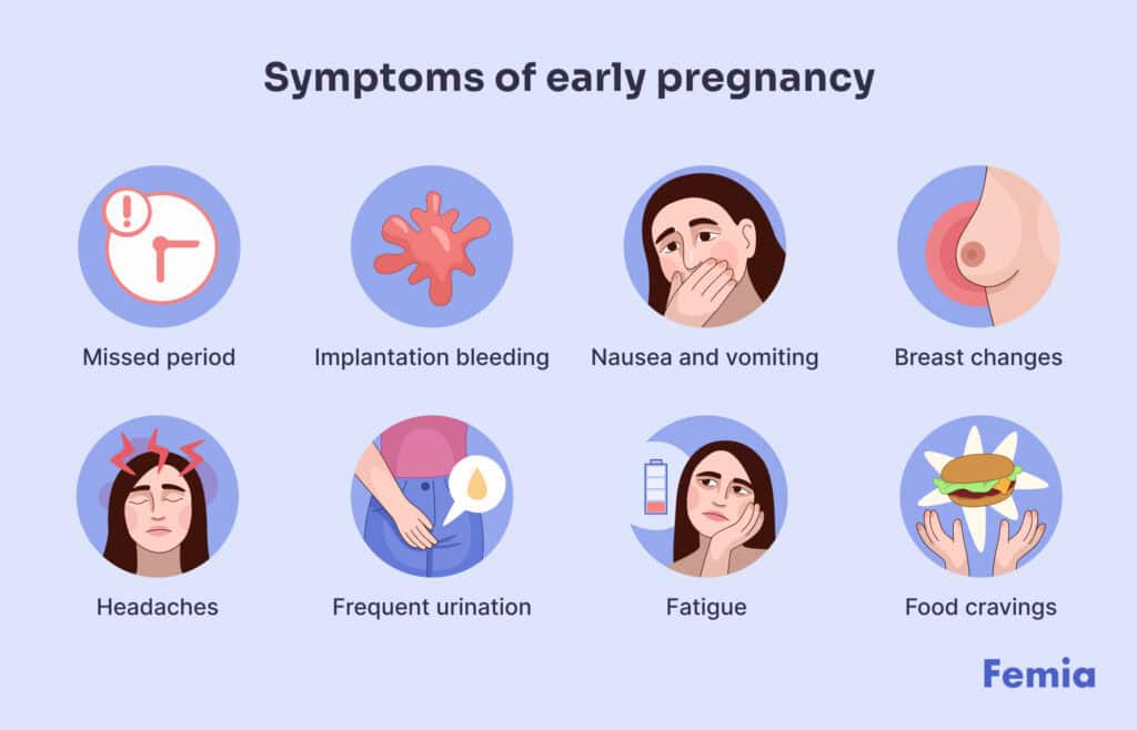 An infographic showing symptoms of early pregnancy.