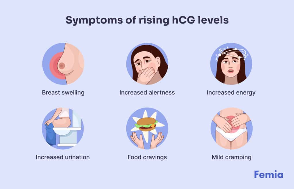 An infographic showing symptoms of rising hCG levels.