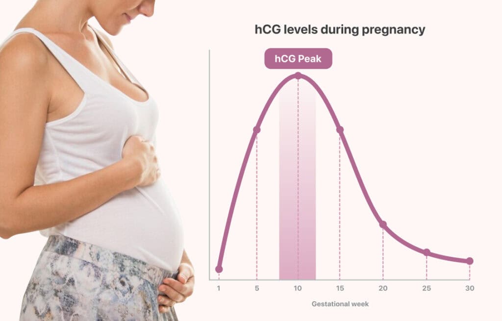 A photo of a pregnant woman and a chart showing hCG levels during pregnancy.