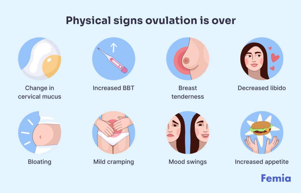 An infographic showing physical signs ovulation is over.